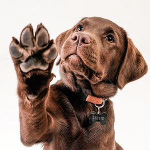 Bola de Natal Personalizada estilo Imagem original